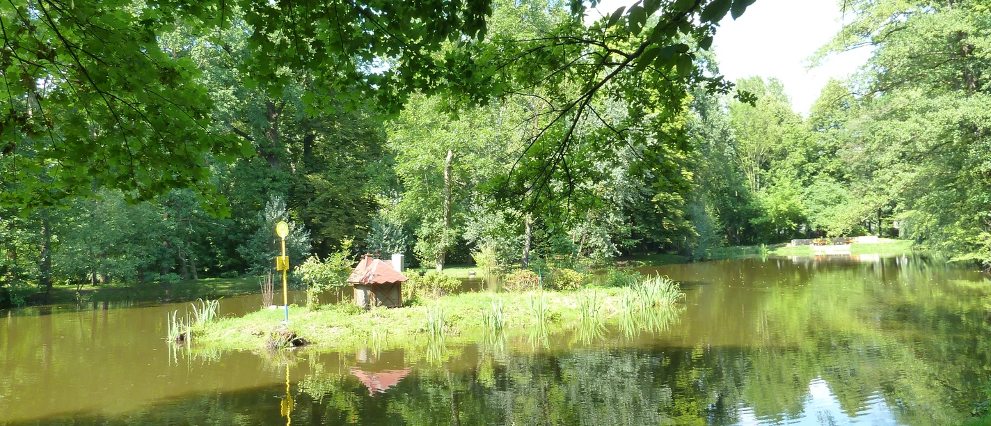 Borsdorf_Parc de l'étang des cygnes01.JPG