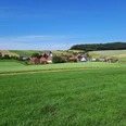 Grünes Hügelland bei Henkenbrink mit verstreuten Häusern, blühenden Feldern und einem Wald am Horizont.