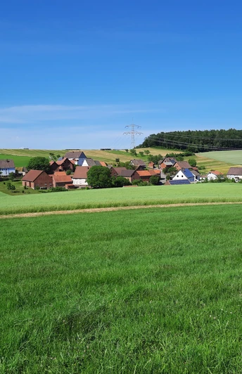 Grünes Hügelland bei Henkenbrink mit verstreuten Häusern, blühenden Feldern und einem Wald am Horizont.