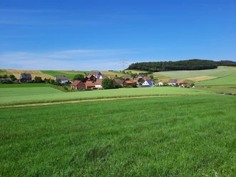 Blick auf Henkenbrink Grünes Hügelland bei Henkenbrink mit verstreuten Häusern, blühenden Feldern und einem Wald am Horizont.