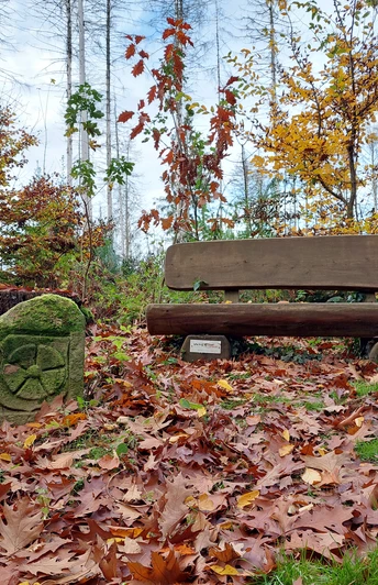 Grenzstein Nr. 63 - auf der Grenze von Lippe nach Preußen