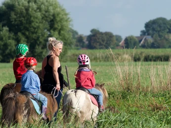 Ferienhof-Wollatz-Reiten.jpg