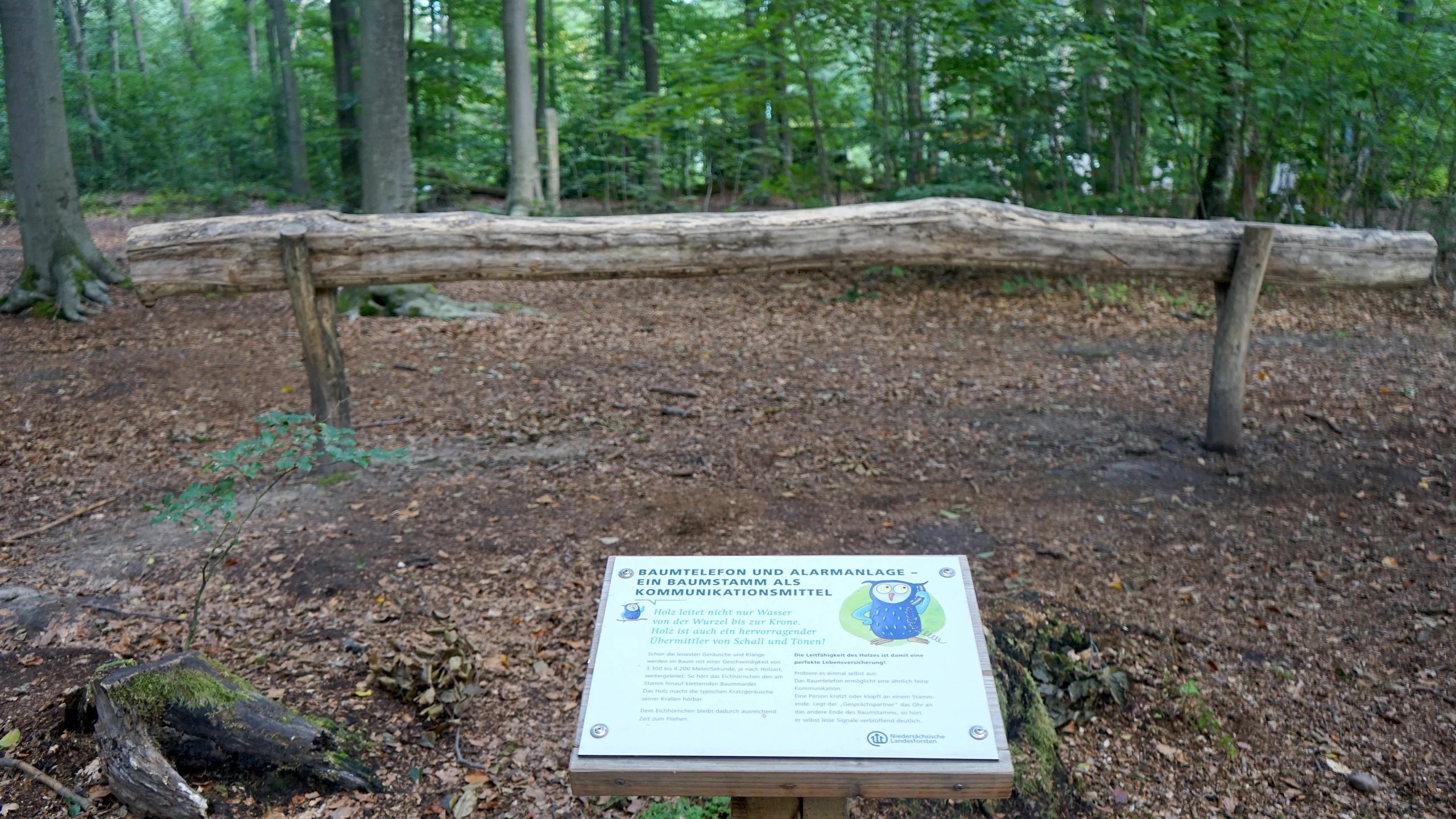 walderlebnispfad-zweidorferholz-baumtelefon-beate-ziehres-zeitorte.jpg