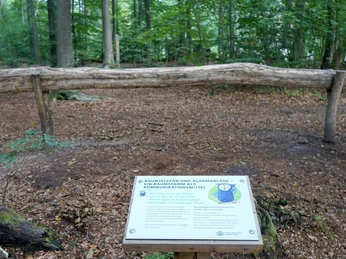 walderlebnispfad-zweidorferholz-baumtelefon-beate-ziehres-zeitorte.jpg Baumtelefon des Walderlebnispfades Zweidorfer Holz.