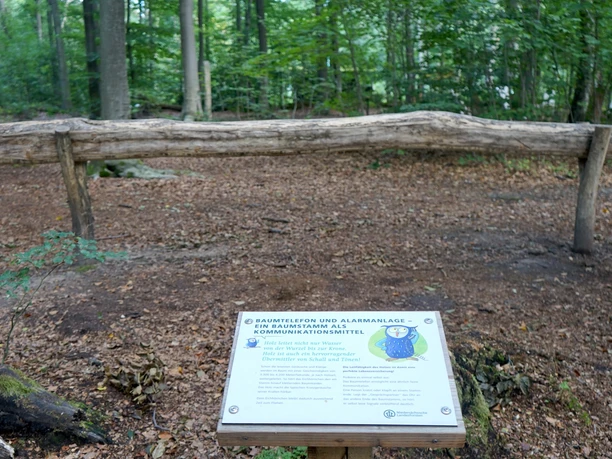 walderlebnispfad-zweidorferholz-baumtelefon-beate-ziehres-zeitorte.jpg Baumtelefon des Walderlebnispfades Zweidorfer Holz.