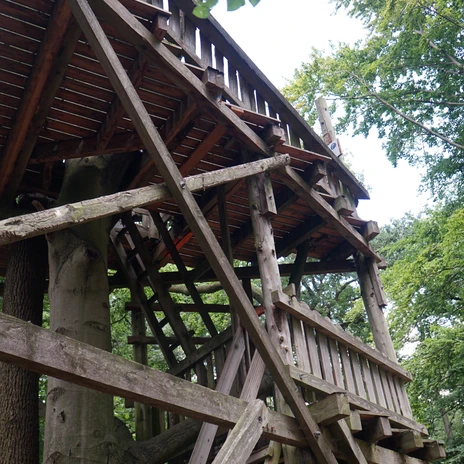 walderlebnispfad-zweidorferholz-baumhaus-beate-ziehres-zeitorte.jpg