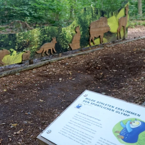walderlebnispfad-zweidorferholz-weitsprungmulde-beate-ziehres-zeitorte.jpg
