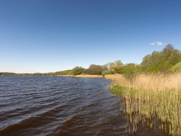 Nordufer Ein weiter blauer Himmel spannt sich über das ruhige, wellige Gewässer, gesäumt von Schilfgras.