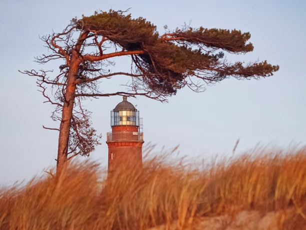 NATUREUM_Leuchtturm_IMG_9334 5zu7 ©Anke Neumeister DMM