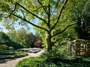 Großer Baum in einem gepflegten Garten mit blühenden Beeten und einer hölzernen Laube im Sonnenschein.