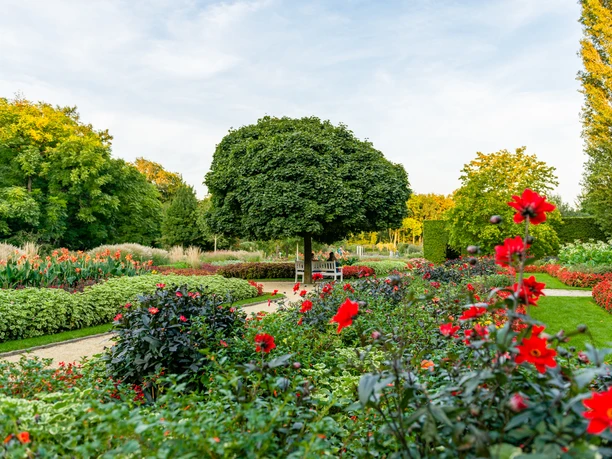 Blühender Garten mit gepflegtem Rasen, üppigen Blumenbeeten und einem großen, zentralen Baum.
