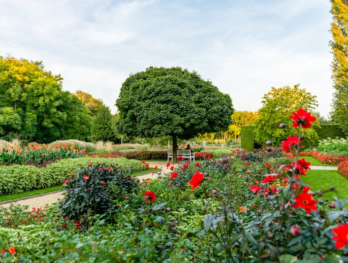 Blühender Garten mit gepflegtem Rasen, üppigen Blumenbeeten und einem großen, zentralen Baum.