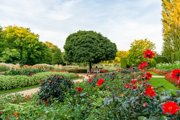 Botanischer_Garten_Gütersloh Blühender Garten mit gepflegtem Rasen, üppigen Blumenbeeten und einem großen, zentralen Baum.