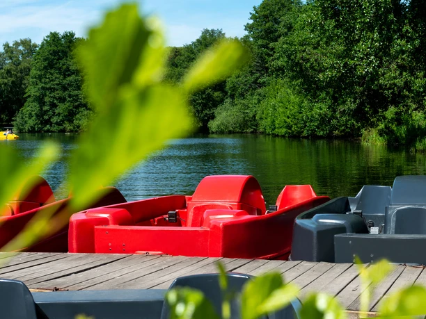 Bootverleih am Rubbenbruchsee Pedal boats in bright red and black are moored on a jetty on the shore of a lake surrounded by trees.