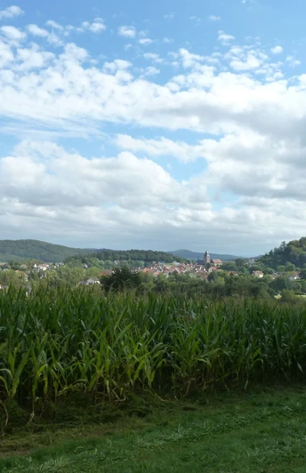 Blick von Weingartenkapelle auf Naumburg