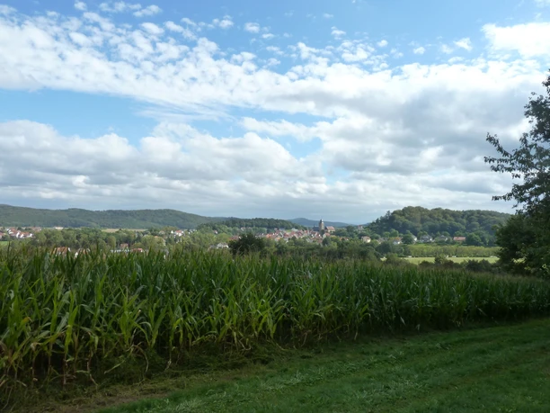 Blick von Weingartenkapelle auf Naumburg