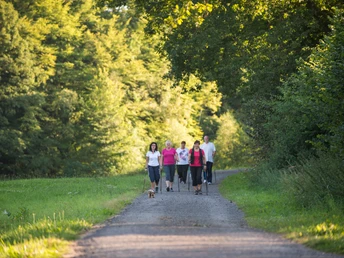 Naumburg 2012 08 23 Nordic Walking auf N2
