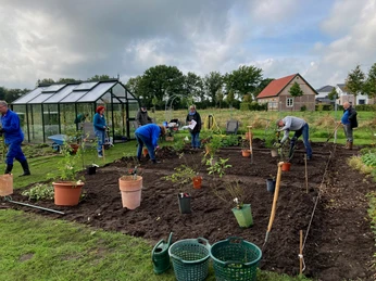 Pflanzung historischer Rosen 02.10.2021.jpg