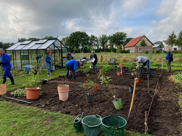 Pflanzung historischer Rosen 02.10.2021.jpg