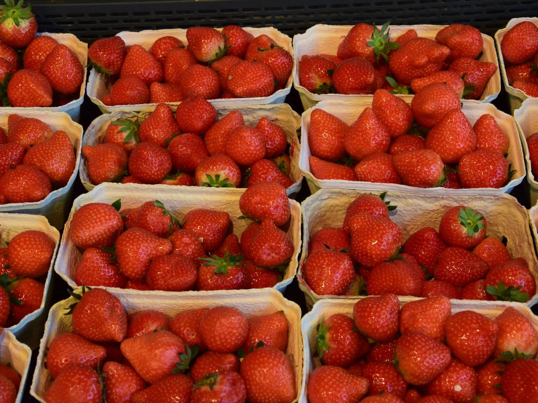 Erdbeeren Frische, leuchtend rote Erdbeeren in kleinen Pappkörben auf einem Marktstand angeordnet.