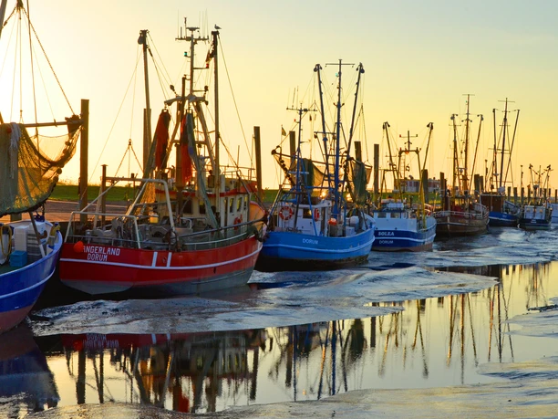 Hafen Sonnenuntergang kutter Dorum.jpg
