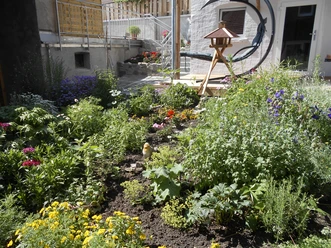 Garten Üppiges Blumenbeet mit bunten Blüten und einem Vogelfutterhaus vor einer hellen Hausfassade.