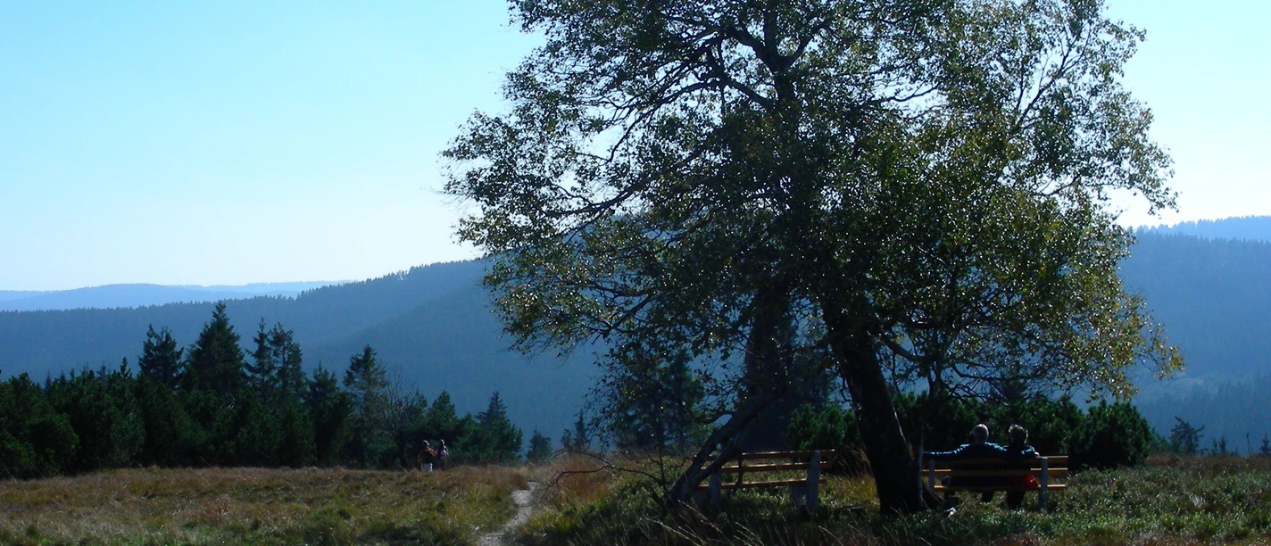 Hochkopf