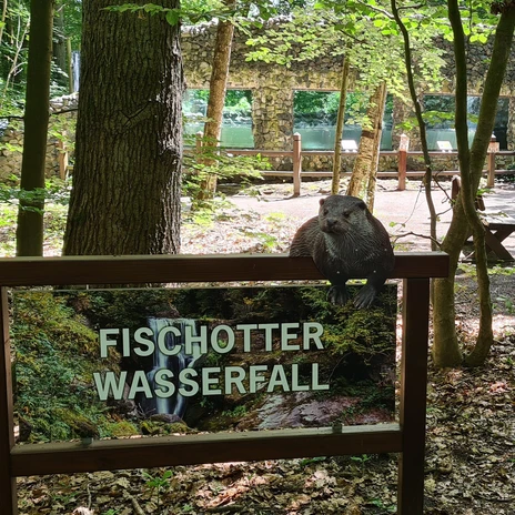 Am Fischotter-Wasserfall.