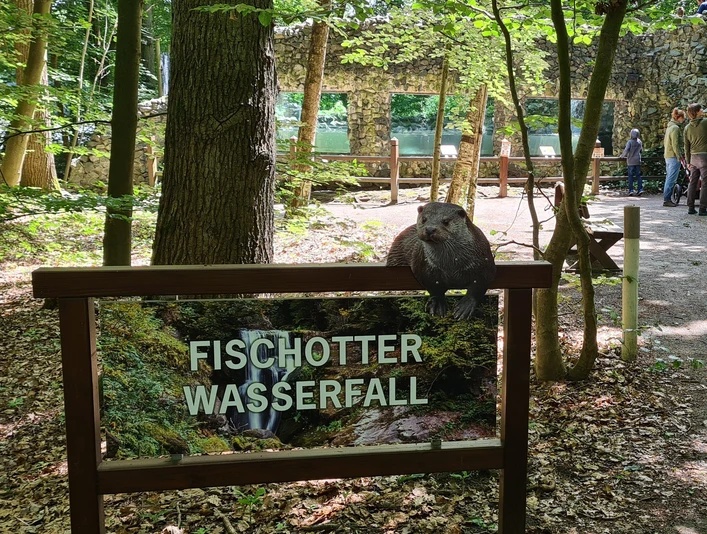 Fischotter_Wasserfall_2021.jpg Am Fischotter-Wasserfall.