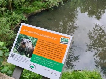 Lebensraum_Teich.jpg Am Fischotter-Teich.