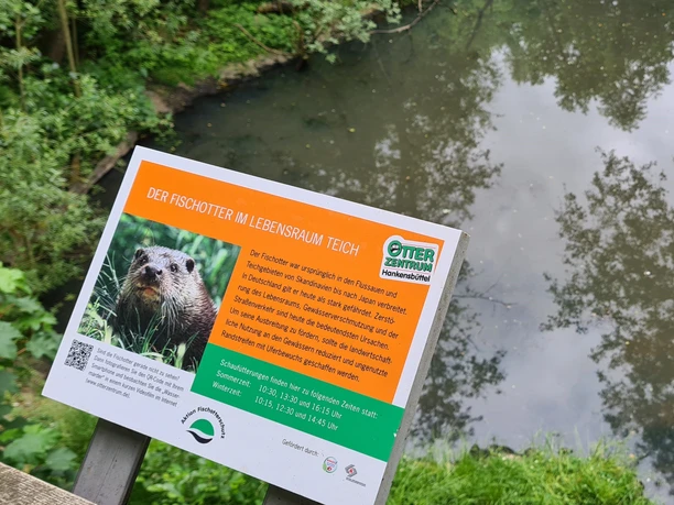 Lebensraum_Teich.jpg Am Fischotter-Teich.