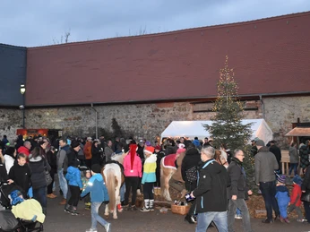 Mittelalterlicher Weihnachtsmarkt Schloss Taucha Schlosshof Taucha in Weihnachtsstimmung