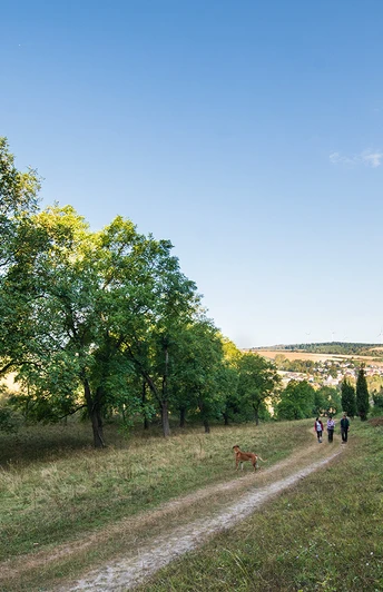 Weg zu den Eberschützer Klippen