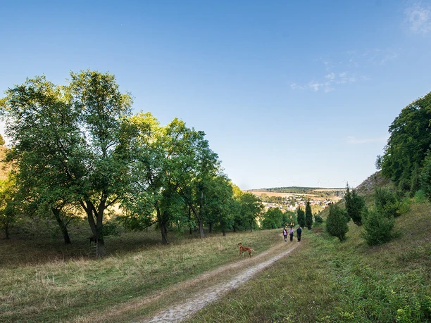 Weg zu den Eberschützer Klippen