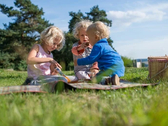 Naumburg 2012 08 27 Picknick Kinder Warte