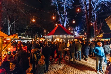 Weihnachtsmarkt am Felsenkeller - Weihnachten in Leipzig Blick auf den gut besuchten Weihnachtsmarkt am Felsenkeller am Abend, mit hell erleuchteten Sternen, die wie eine Lichterkette zwischen den Bäumen gespannt sind