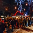 Weihnachtsmarkt am Felsenkeller - Weihnachten in Leipzig Blick auf den gut besuchten Weihnachtsmarkt am Felsenkeller am Abend, mit hell erleuchteten Sternen, die wie eine Lichterkette zwischen den Bäumen gespannt sind