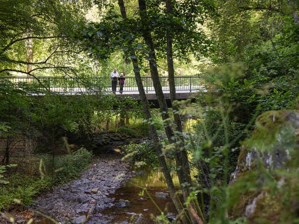 Brücke im Wald