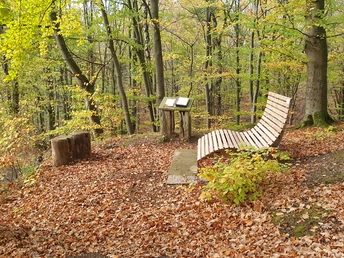 Naturbuch in Elbrinxen Hölzerne Sitzbank und Infotafel auf mit Laub bedecktem Waldboden, umgeben von bunten Herbstbäumen.