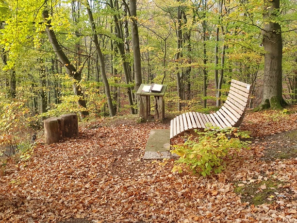 Naturbuch in Elbrinxen Hölzerne Sitzbank und Infotafel auf mit Laub bedecktem Waldboden, umgeben von bunten Herbstbäumen.