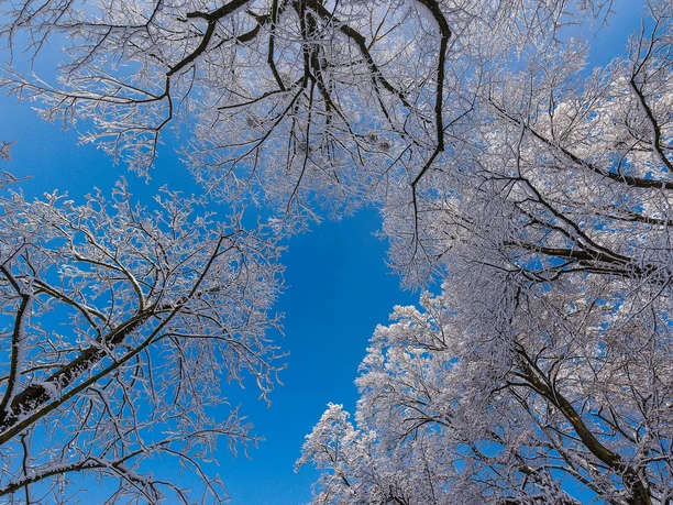 winterlandschaft-kurpark-bad-aibling