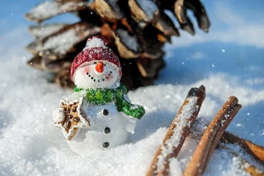 Ein Schneemann mit roter Mütze und Schal steht lächelnd im Schnee neben einer Tannenzapfenkulisse.