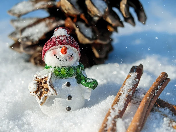 Ein Schneemann mit roter Mütze und Schal steht lächelnd im Schnee neben einer Tannenzapfenkulisse.