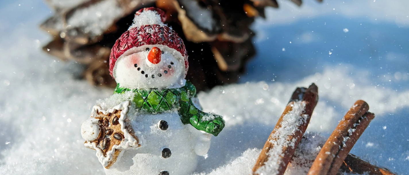Adventsmarkt Ein Schneemann mit roter Mütze und Schal steht lächelnd im Schnee neben einer Tannenzapfenkulisse.