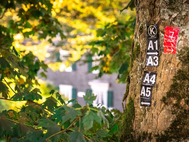Streifzug Nr. 7 Mühlenweg Ein Baumstamm mit Wanderwegschildern, im Hintergrund ein Gebäude mit weißen Fensterläden.