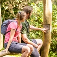 Ein Wanderpaar sitzt auf einem Holzgeländer im Teutoburger Wald und betrachtet eine Informationstafel.