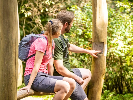 Ein Wanderpaar sitzt auf einem Holzgeländer im Teutoburger Wald und betrachtet eine Informationstafel.
