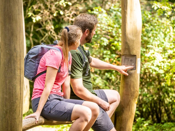 Borgholzhausen-Luisenturm-Teutoburger-Wald-Tourismus-D-Ketz-067.jpg Ein Wanderpaar sitzt auf einem Holzgeländer im Teutoburger Wald und betrachtet eine Informationstafel.