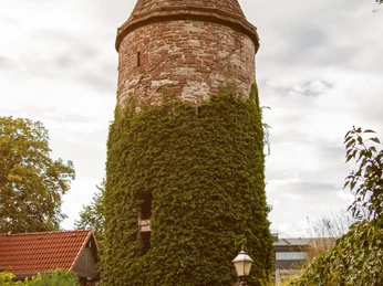 Wehrturm Ein runder, mit Efeu bewachsener Wehrturm aus rotem Sandstein mit spitzem Dach und kleinen Fenstern.