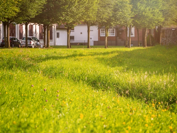 Grüne Wiese und Bäume säumen eine historische Stadtmauer an einem sonnigen Tag, Spazierweg entlang.